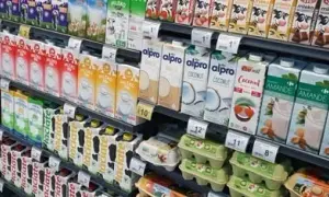 Czy mleko w proszku jest wegańskie? Odkryj prawdę o składzie