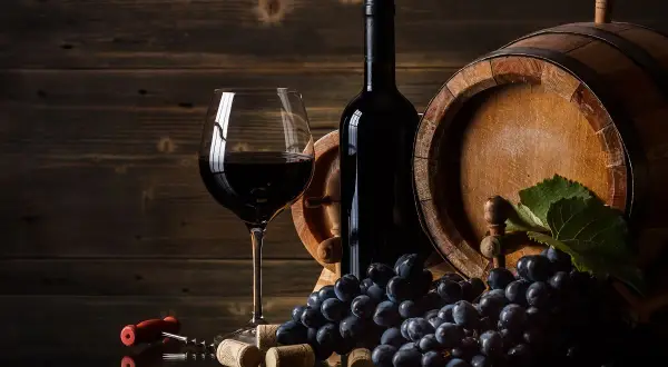 Wino wegańskie czym się różni od tradycyjnego? Poznaj kluczowe różnice