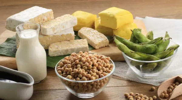 Dieta wegetariańska czego nie można jeść – unikaj tych produktów