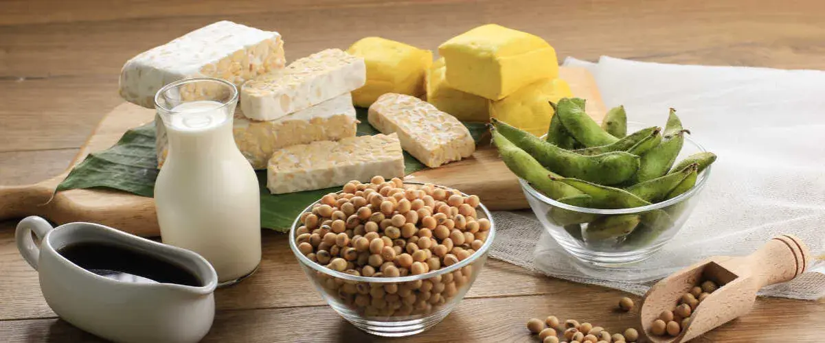 Dieta wegetariańska czego nie można jeść – unikaj tych produktów