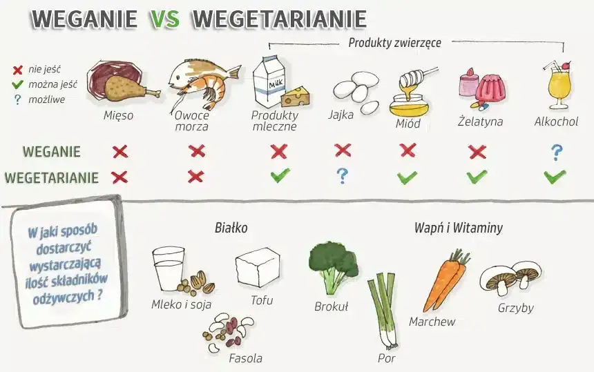Zdjęcie Czym się różni dieta wegańska od wegetariańskiej? Poznaj kluczowe różnice
